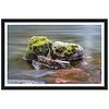 Small Rocks In River Framed Poster