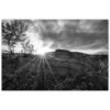 An Abandoned Fishing Boat Aluminum Print