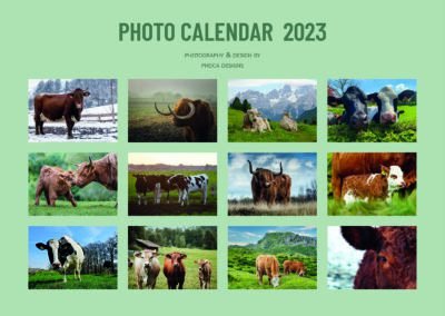 overzicht Koe kalender