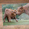 Cow Wall calendar (ENG) 2024