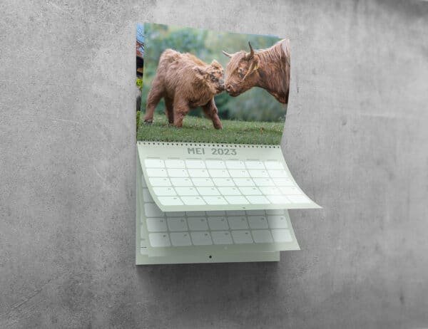 mockup 5