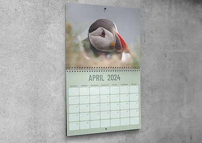 kalender