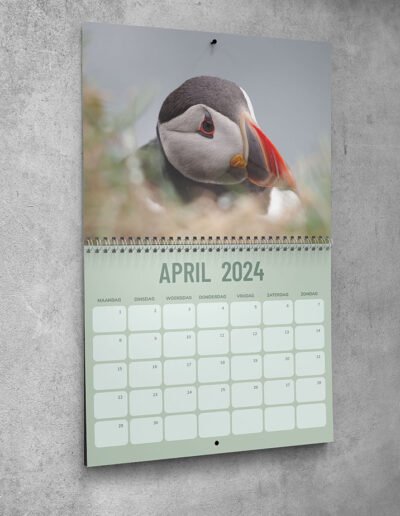 kalender