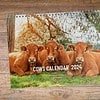 Just Cows Wall calendar (ENG) 2024