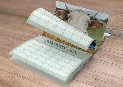 koe kalender