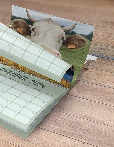 koe kalender