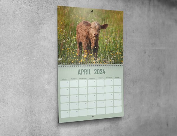 Just Cows Wall calendar (ENG) 2026 - Image 3