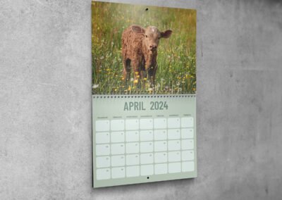 koe kalender