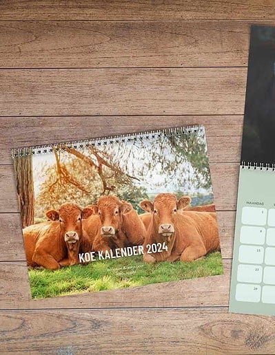 koe kalender