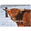 2026 Cow Calendar: A Year of Rustic Charm  (ENG)🐄