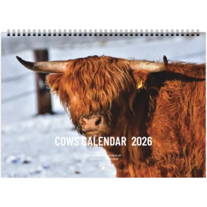 2026 Cow Calendar: A Year of Rustic Charm  (ENG)🐄